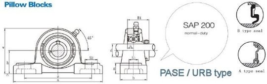 FSB-SAP-PASE200